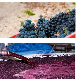  raw materials.JPG 